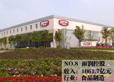 2013中國民企500強(qiáng) 蘇寧折桂，西安文欣評級背后藏著什么秘密？